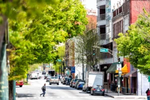 Causes of Pedestrian Accidents in North Carolina